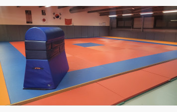 Notre cheval d'arçon sans poignée